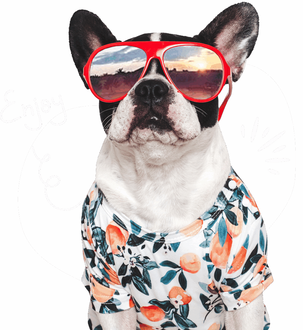 Dog wearing sunglasses and floral shirt.